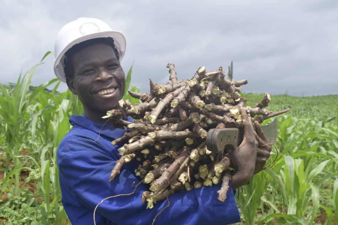 Production & Transformation